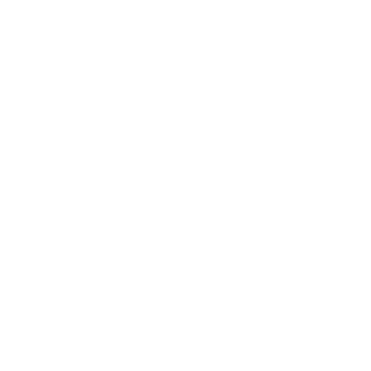 ravishinglogo